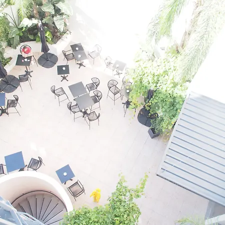 Dali - Restaurant פרפיניין